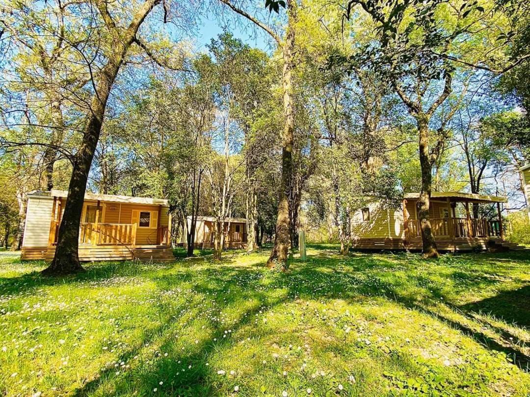 Camping Du Lion 伯格圣安迪欧 外观 照片
