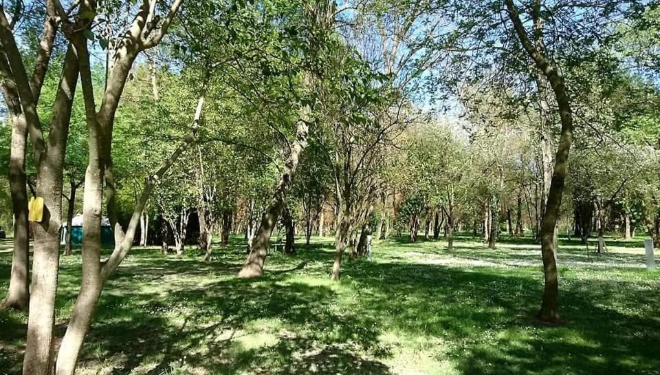 Camping Du Lion 伯格圣安迪欧 外观 照片